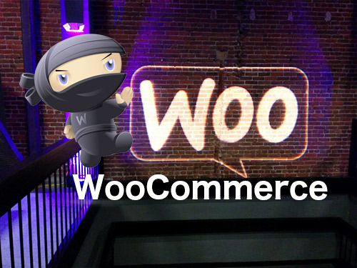 OutworX woocommerce development