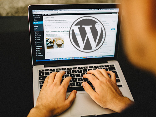 wordpress development by OutworX